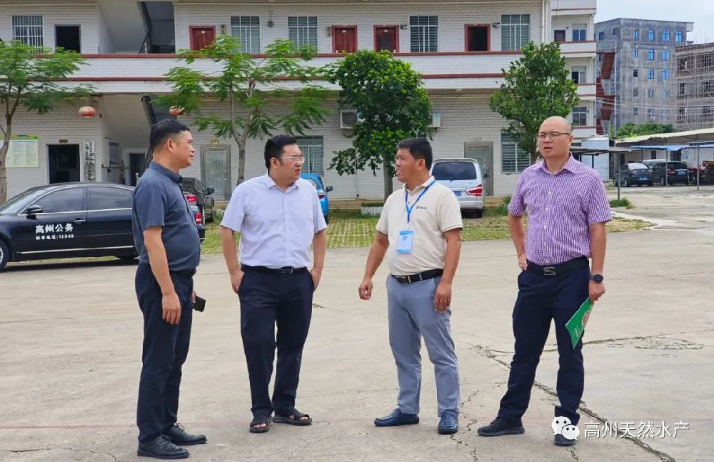 感謝楊市長(zhǎng)等一行蒞臨我司指導(dǎo)工作